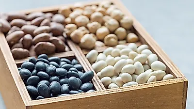 누구나 발병 가능한 '암', 예방 위한 '항암 음식' 주목…타임지가 선정한 '이것'의 정체는?