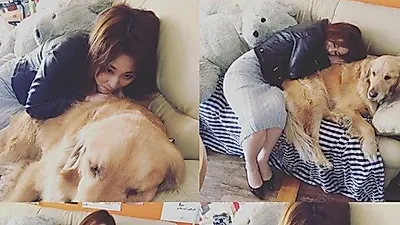 신아영, 골든 리트리버에 특급 애정 공세 "누나랑 놀아줘"