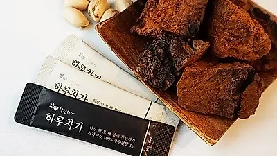 착한차가, 차가버섯 추출분말 무료샘플 서비스 오픈