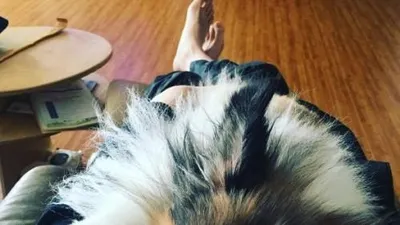 이기우 반려견, 도망 못가게 다리 위에서 단잠 "손에 힘빼 오빠 어디 안간다"