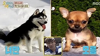 오래봐도 예쁘다, 박재정 "솔직히 큰 동물이 무섭다"