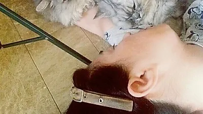 김미경 반려묘와 누워서 나른한 일상