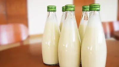 알고 보면 다양한 우유, 내 몸에 맞는 우유는?
