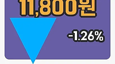주식마감엔에스쇼핑 2일 11,800원 장 마쳐...