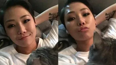 치타 반려묘 구름과 함께 행복한 일상