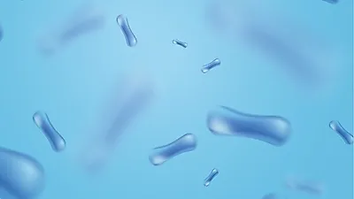 장 건강과 비만까지 잡아주는   '이것'은?…체내 속 염증 위험 줄여줘