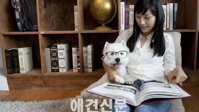 강아지 습식 사료에 대해 잘못 알려진 상식 베스트 3