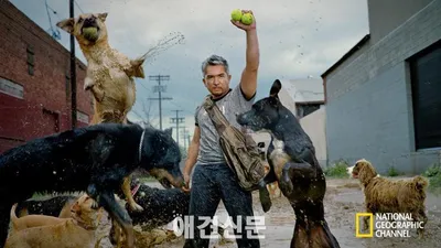 말 안 듣는 우리 개의 머릿속이 궁금하다면?