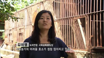 사육곰 1,140마리가 좁은 철창에 갇힌 이유와 웅담 채취의 역사