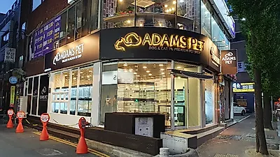 강아지·고양이 분양브랜드 ’아담스펫’ 브리딩과 프리미엄 서비스로 눈길 끌어