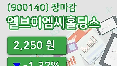 국내주식마감엘브이엠씨홀딩스 29일 2,250원 마감그래프종합통계