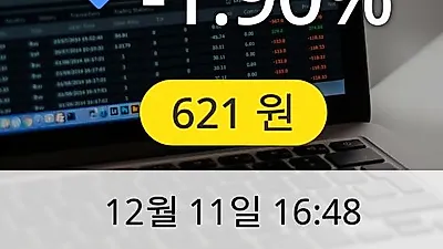 스킨앤스킨 11일 621원 마감