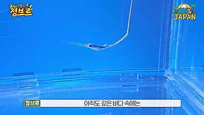 Criaturas de las profundidades en el acuario de Nagoya: las características del Scaly-foot Snail de…