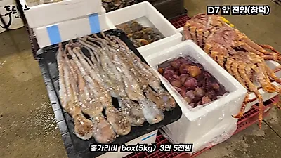 노량진수산시장 하나사키 왕게 등장…명절 앞두고 광어·참돔 시세 상승세