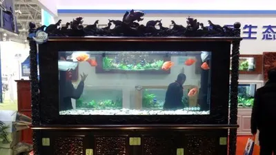 [포토]1억6천만 원짜리 수족관,중국 국제 애완용품 박람회 현장