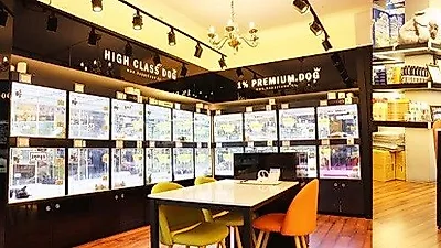 대구강아지분양 바우바우, 365일 반려견 보상 서비스 제공
