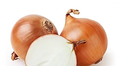 양파 효능, 혈액 순환 개선과 항산화 작용…'양파 맛있게 먹는법은?'