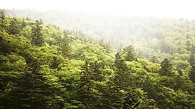 [주말여행추천] 아름다운 자연과 가을축제를 즐길 수 있는 원주 가볼만한곳 추천