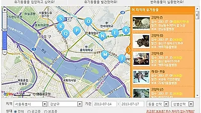 토리터, 유기동물 입양 정보 "찾아주세요!" 서비스 실시