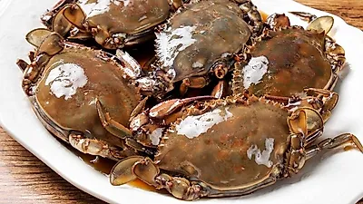 밥도둑으로 알려져 있는 간장게장 효능과 황금레시피 재료 공개