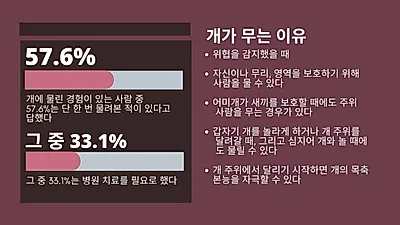 개의 본능 ‘무는 습성’ 그 이유와 예방법은?