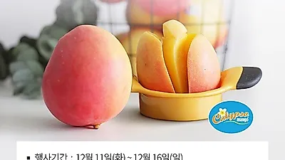 호주 애플망고 한 팩 가격에 두 팩을? 만나몰, 프로모션 진행 큰인기