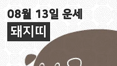 [13일 8월 맞이오늘의운세]돼지(亥)띠 일일운세