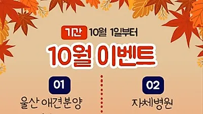 울산 강아지분양 엔젤인독스 10월 가을 맞이 이벤트 실시