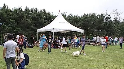 우리 아이들의 마지막 소풍, 170여명의 자원봉사자와 함께..