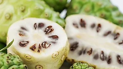만성염증 없애주는   노니 부작용 및 먹는 법까지   염증으로 발생할 수 있는 질병 예방 가능해