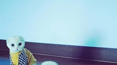 소유 반려묘 깜찍하게 앉아 "인형같아"