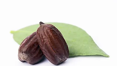 호호바오일 효능, 피부관리에 탁월…호호바오일 사용법은?