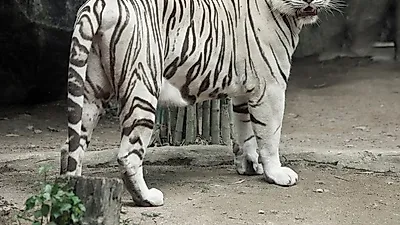 서울근교 여행지 용인 가볼만한 곳