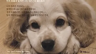 [신간도서] 지오 어쩌면 내게 거는 주문일 거야