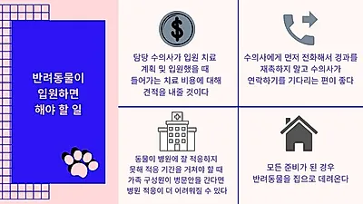반려동물 ‘입원’ 앞두고 있다면? 반려인의 할 일