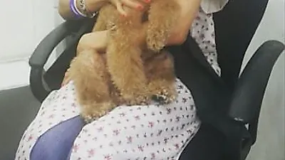 공효진, 강아지 안은 채 "널 안아보는 날이 오다니"