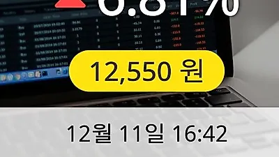 NHN한국사이버결제 11일 12,550원 마감보고