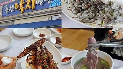 전라도여행에 빠질 수 없는 영암맛집, '독천낙지마당'