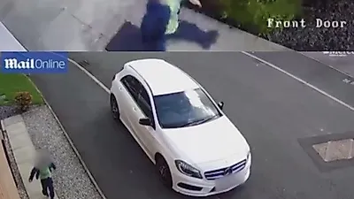 [사건] 고양이 학대한 5세 소년…너무 어려 처벌 어려워
