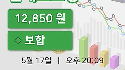주식마감엔에스쇼핑 17일 12,850원 장 마쳐
