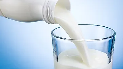 비만을 해결하는 유산균 다이어트...프로바이오틱스 효능 맹신 말아야