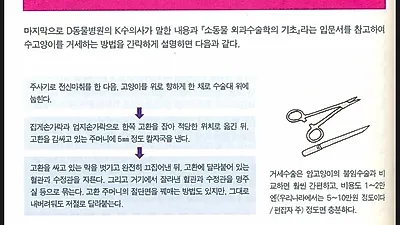 반려동물 중성화, 여전히 논란...중성화수술의 득과 실