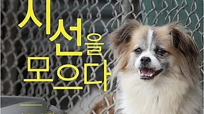 연희동서 유기동물 후원 행사 '시선을 모으다' 개최