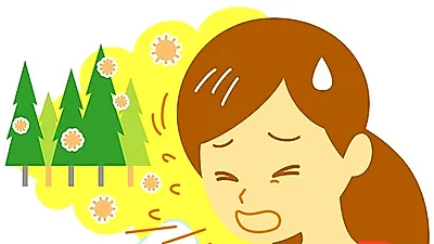 작두콩차 효능, 비염치료…'작두콩껍질효능 부터 작두콩차만들기까지'