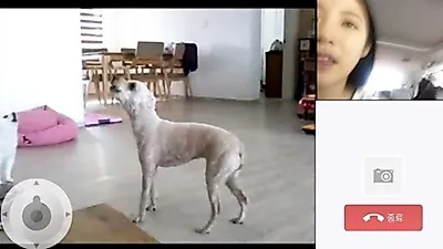 공승연 반려견 나난이, "내 목소리 듣고 울어줬다"