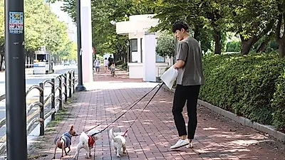 파양비부터 각종 질병 상담까지. 유기동물보호소 '도그마루' 파양 강아지, 고양이 보호관리 진행