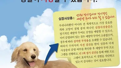 레볼루션, 애드보킷, 하트가드.. 이젠 약국에서???