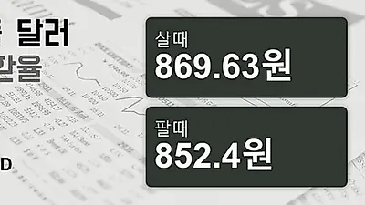 29일 싱가폴 달러 살때 869.63원, 팔때 852.4원 ▼-0.01%감소