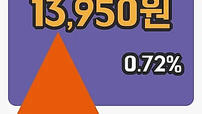 국내주식마감네오위즈홀딩스 22일 13,950원 장종료