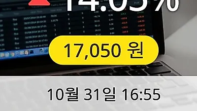 선데이토즈 31일 17,050원